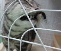 遊ぼうよ～～の　お誘いありがとう。