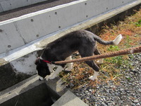 さみしくてさみしくてずっと探していました。