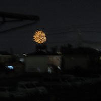 マイペースを守って・長いお泊りも完璧でした。