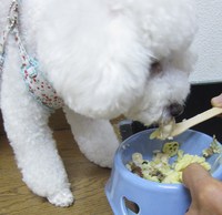 わたしの・・大事な宝物も　もってきたよ。