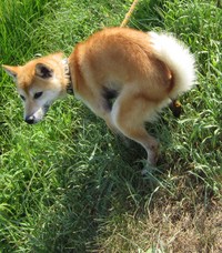 一緒にお散歩・いい笑顔です。