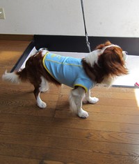 ニコニコ笑顔でお泊りできました。　おまじない　きいたみたい！