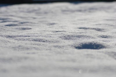 残った雪