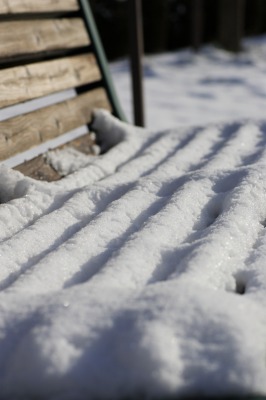 残った雪
