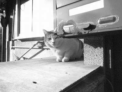 ISO感度を上げて