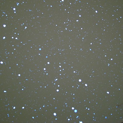 降る雪