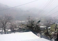 雪降りの中条2016.3.14