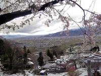 雪の定期総会