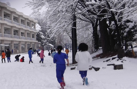 雪の朝