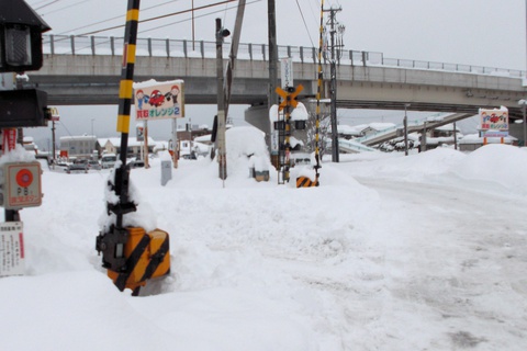 大雪情報