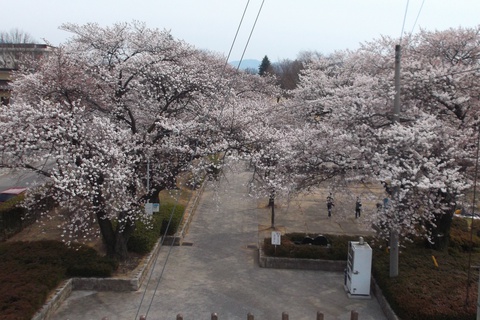 南部公園