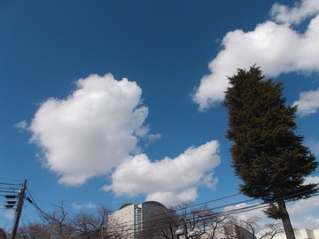 春の雲