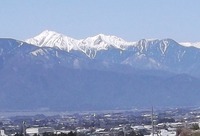 差別の事例