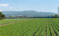 議場に音声変換システム