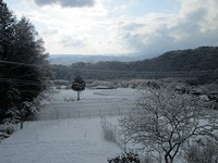 春の重い雪