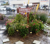 335　ながの花と緑大賞2017　審査に行ってきました