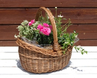174　5月の寄せ植えレッスンのお知らせ