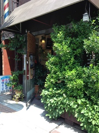 205　街で見かけた緑の風景