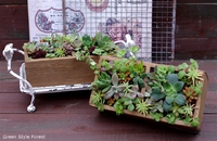 151　寄せ植えレッスンのお知らせ