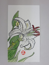 ｶｻﾌﾞﾗﾝｶ・心込めた1枚（植物画）①
