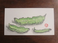 四角豆って、ﾌﾘﾌﾘついて可愛いね。