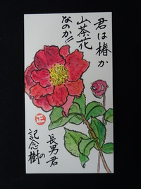 長男君の記念樹（小学校入学）
