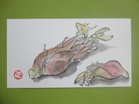 茗荷（ﾐｮｳｶﾞ）に花が咲きました。
