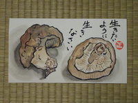 生椎茸（飯山産）です。