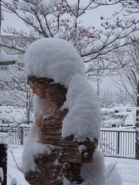 大雪です。（ﾘｱﾙﾀｲﾑ）