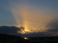 逆光芒（1/8夕方16：30頃）
