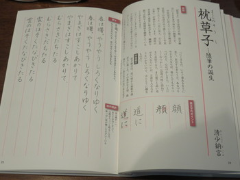 ﾋﾟﾉｷｵの鉛筆削り