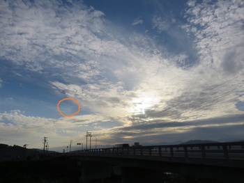 夕暮れ時の空見上げ、心をﾆｭｰﾄﾗﾙ にしています。