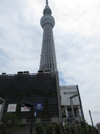 すみだ水族館・東京ｿﾗﾏﾁ