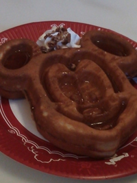 ﾃﾞｨｽﾞﾆｰﾗﾝﾄﾞ に行きました！⑤