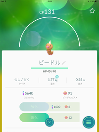 今日の実験 (9/28 WED)