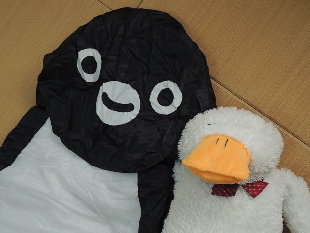 今日の何じゃこりゃ～ (5/20 SAT)