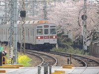 今日のトホホ (4/12 THU)