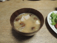 今日の何じゃこりゃ～ (5/1 FRI)