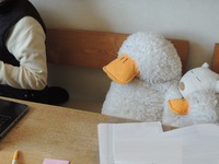 今日の何じゃこりゃ～ (5/11 MON)
