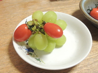 今日の何じゃこりゃ～ (11/3 SUN)