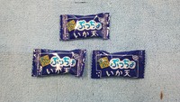 今日の何じゃこりゃ～ (3/20 WED)