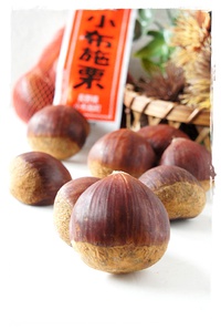 【報告】　定期講座：ヨークカルチャー　さま　第５１回は栗！