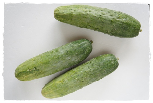 【御紹介】　野菜と木の子で養生セット♪　　松代青大きうり