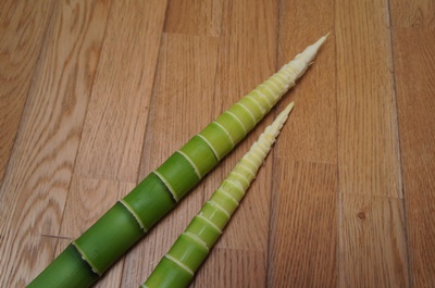 淡竹（はちく）いただきました♪