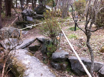山野草