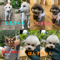 2024年06月19日