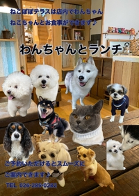 2025年01月30日