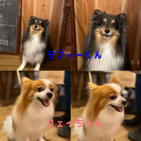 2024年06月24日