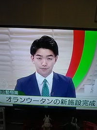 ＮＨＫ長野局／茶臼山動物園オランウータンの森内覧会を放送