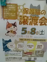 ５月８日／篠ノ井でながの鈴ねこの会主催／保護猫の譲渡会開催